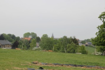 2020-05-08 - Plantation vigne Baudrifosse (15)
